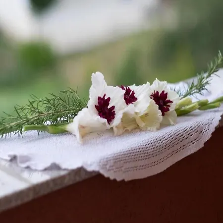 Ana-marija Appartement *